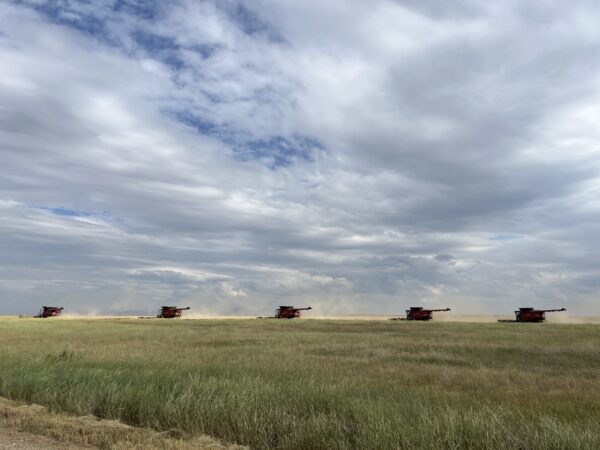 Five machines working by Carter, Montana.