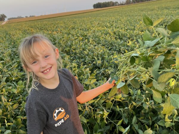 Zoey grabbing a few bean plants to count pods before they are sprayed.