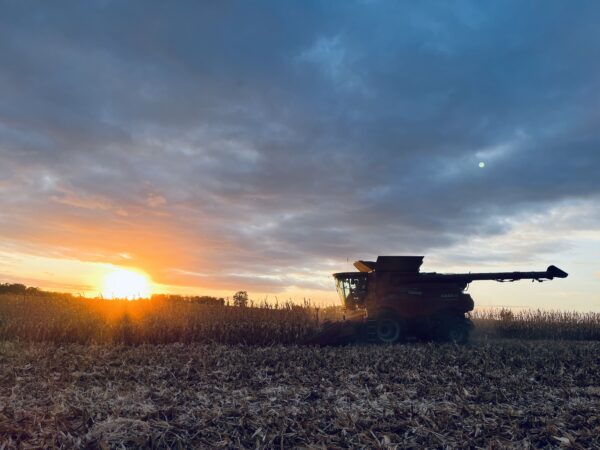 The sunset in the field by Hartley, Iowa. 
