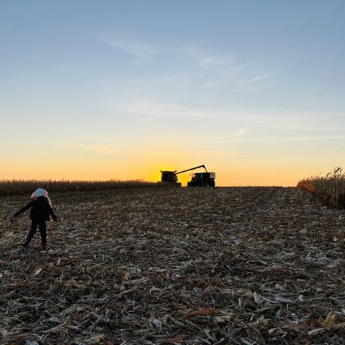 Finishing up Paul's corn by Cloverdale, Iowa.